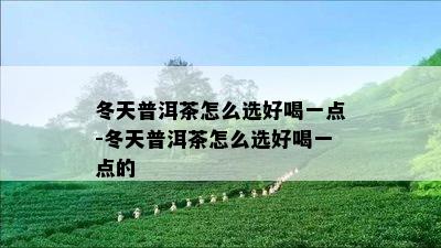 冬天普洱茶怎么选好喝一点-冬天普洱茶怎么选好喝一点的