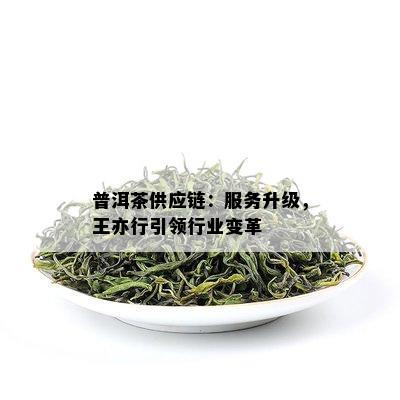 普洱茶供应链：服务升级，王亦行引领行业变革