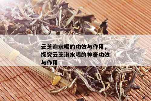 云芝泡水喝的功效与作用，探究云芝泡水喝的神奇功效与作用