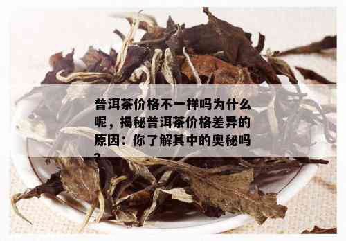 普洱茶价格不一样吗为什么呢，揭秘普洱茶价格差异的原因：你了解其中的奥秘吗？