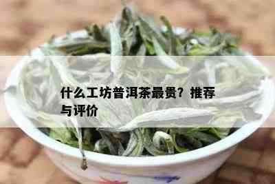 什么工坊普洱茶最贵？推荐与评价