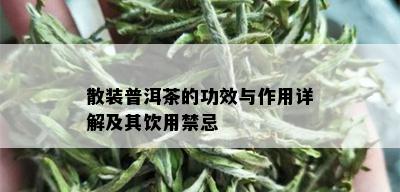 散装普洱茶的功效与作用详解及其饮用禁忌