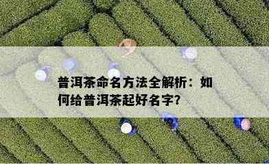 普洱茶命名方法全解析：如何给普洱茶起好名字？