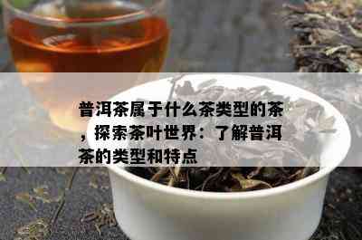 普洱茶属于什么茶类型的茶，探索茶叶世界：了解普洱茶的类型和特点