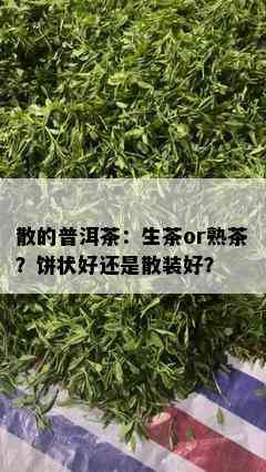 散的普洱茶：生茶or熟茶？饼状好还是散装好？