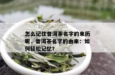 怎么记住普洱茶名字的来历呢，普洱茶名字的由来：如何轻松记忆？