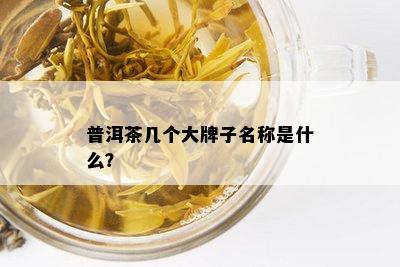 普洱茶几个大牌子名称是什么？