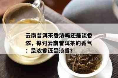 云南普洱茶香浓吗还是淡香浓，探讨云南普洱茶的香气：是浓香还是淡香？