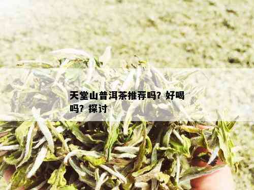 天堂山普洱茶推荐吗？好喝吗？探讨