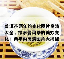 普洱茶两年的变化图片高清大全，探索普洱茶的美妙变化：两年内高清图片大揭秘