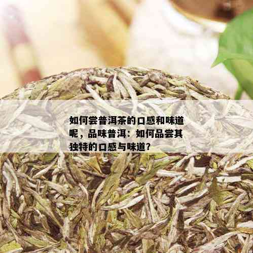 如何尝普洱茶的口感和味道呢，品味普洱：如何品尝其独特的口感与味道？