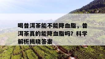 喝普洱茶能不能降血脂，普洱茶真的能降血脂吗？科学解析揭晓答案