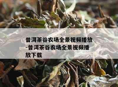 普洱茶谷农场全景视频播放-普洱茶谷农场全景视频播放下载