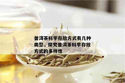 普洱茶科学存放方式有几种类型，探究普洱茶科学存放方式的多样性