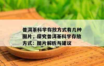 普洱茶科学存放方式有几种图片，探究普洱茶科学存放方式：图片解析与建议