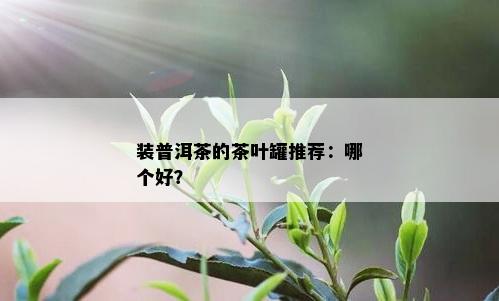 装普洱茶的茶叶罐推荐：哪个好？