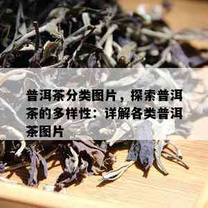 普洱茶分类图片，探索普洱茶的多样性：详解各类普洱茶图片