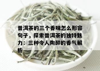 普洱茶的三个香味怎么形容句子，探索普洱茶的独特魅力：三种令人陶醉的香气解析