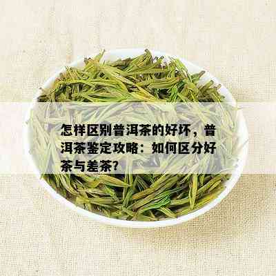 怎样区别普洱茶的好坏，普洱茶鉴定攻略：如何区分好茶与差茶？