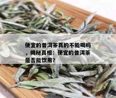 便宜的普洱茶真的不能喝吗，揭秘真相：便宜的普洱茶是否能饮用？