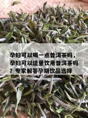 孕妇可以喝一点普洱茶吗，孕妇可以适量饮用普洱茶吗？专家解答孕期饮品选择