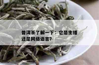 普洱茶了解一下：它是主播还是网络语言？