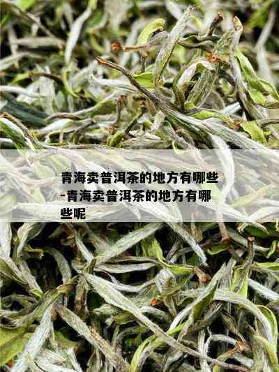 青海卖普洱茶的地方有哪些-青海卖普洱茶的地方有哪些呢