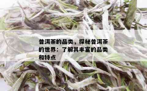 普洱茶的品类，探秘普洱茶的世界：了解其丰富的品类和特点