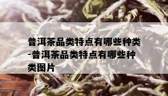 普洱茶品类特点有哪些种类-普洱茶品类特点有哪些种类图片