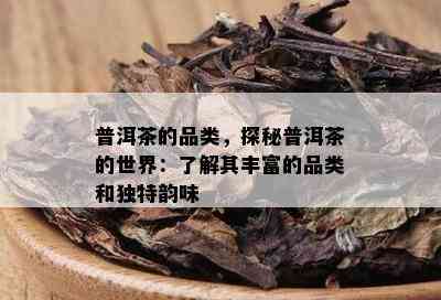 普洱茶的品类，探秘普洱茶的世界：了解其丰富的品类和独特韵味