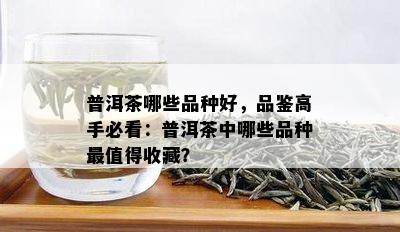 普洱茶哪些品种好，品鉴高手必看：普洱茶中哪些品种最值得收藏？