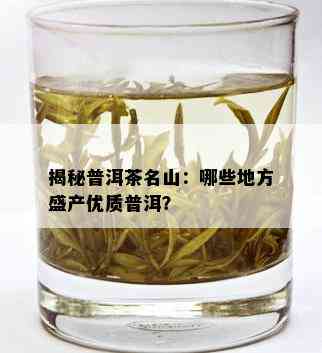 揭秘普洱茶名山：哪些地方盛产优质普洱？