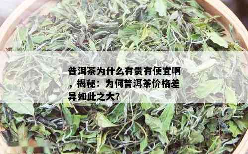 普洱茶为什么有贵有便宜啊，揭秘：为何普洱茶价格差异如此之大？