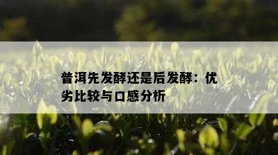 普洱先发酵还是后发酵：优劣比较与口感分析