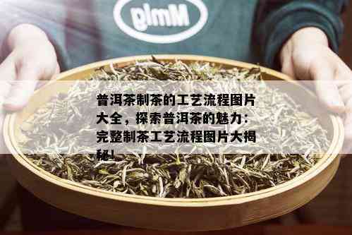 普洱茶制茶的工艺流程图片大全，探索普洱茶的魅力：完整制茶工艺流程图片大揭秘！