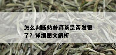 怎么判断熟普洱茶是否发霉了？详细图文解析