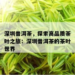 深圳普洱茶，探索高品质茶叶之旅：深圳普洱茶的茶叶世界