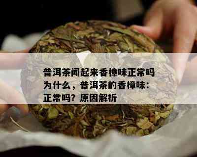 普洱茶闻起来香樟味正常吗为什么，普洱茶的香樟味：正常吗？原因解析