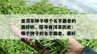 普洱茶牌子哪个名字最老的更好听，探寻普洱茶历史：哪个牌子的名字最老，更好听？