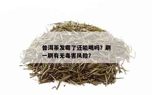 普洱茶发霉了还能喝吗？刷一刷有无害风险？