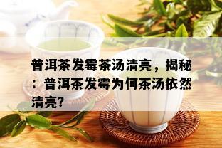 普洱茶发霉茶汤清亮，揭秘：普洱茶发霉为何茶汤依然清亮？