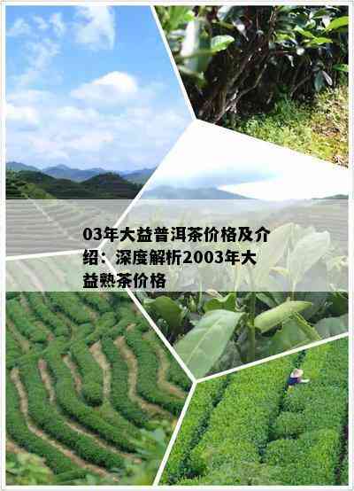 03年大益普洱茶价格及介绍：深度解析2003年大益熟茶价格