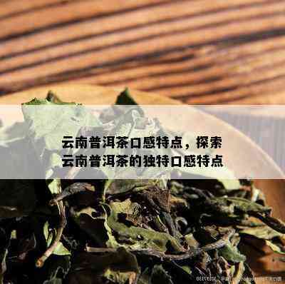 云南普洱茶口感特点，探索云南普洱茶的独特口感特点