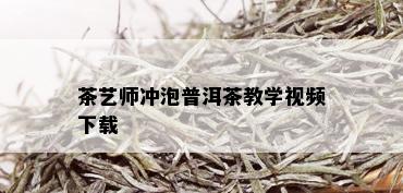 茶艺师冲泡普洱茶教学视频下载