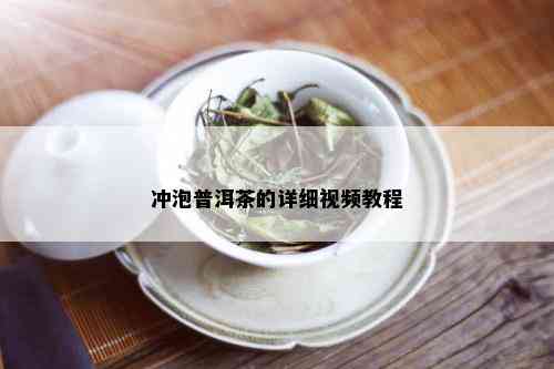 冲泡普洱茶的详细视频教程