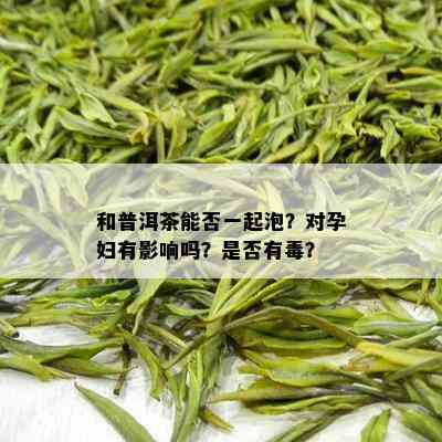 和普洱茶能否一起泡？对孕妇有影响吗？是否有？