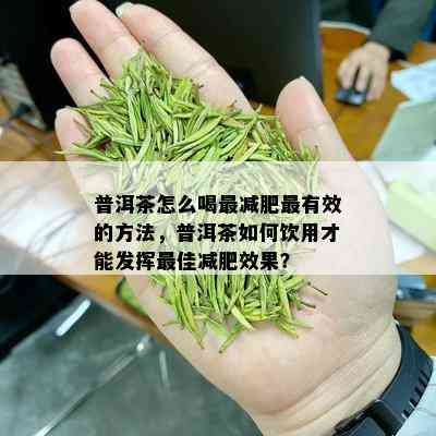 普洱茶怎么喝最减肥最有效的方法，普洱茶如何饮用才能发挥更佳减肥效果？