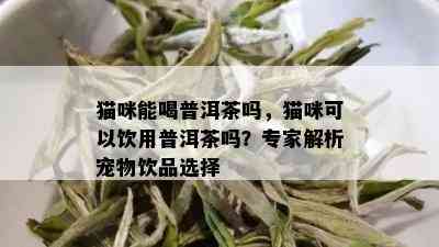 猫咪能喝普洱茶吗，猫咪可以饮用普洱茶吗？专家解析宠物饮品选择