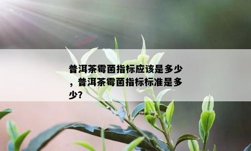 普洱茶霉菌指标应该是多少，普洱茶霉菌指标标准是多少？