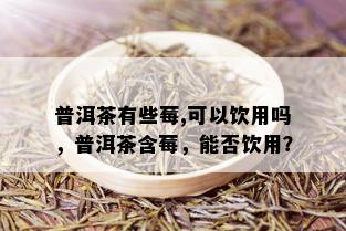 普洱茶有些莓,可以饮用吗，普洱茶含莓，能否饮用？